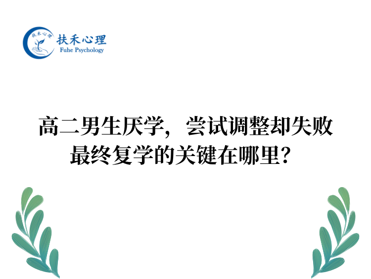 高二男生厌学，尝试调整却失败，复学的关键在哪里？