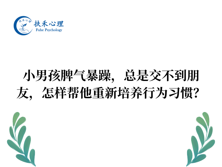 小男孩脾气暴躁，总是交不到朋友，怎样帮他重新培养行为习惯？